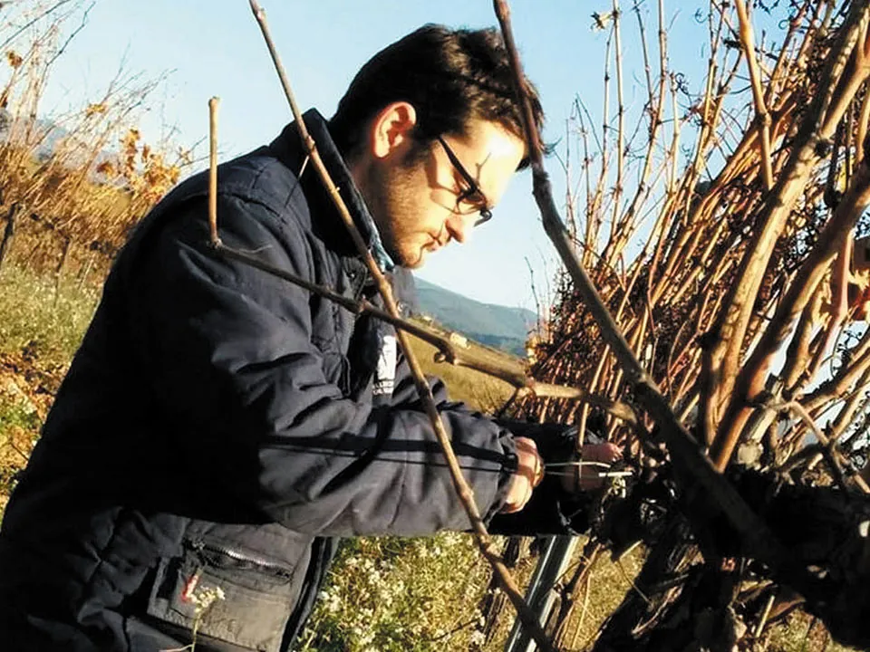 Celler Sanroma bodega